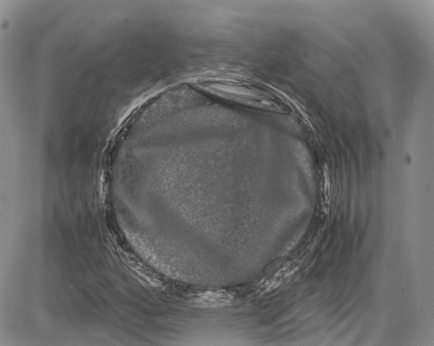 X0000081611160200702051347