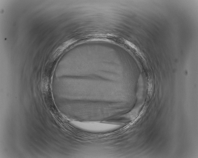 X0000081611161200702051347