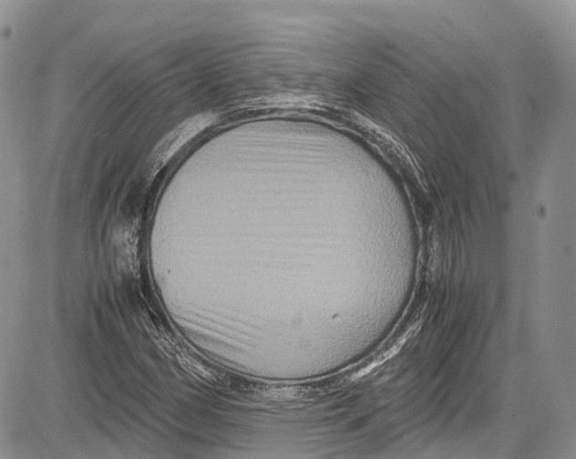 X0000081611162200702051347