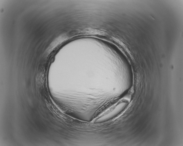 X0000081611163200702051347