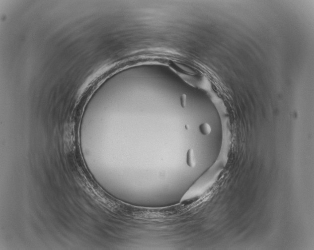 X0000081611164200702051347