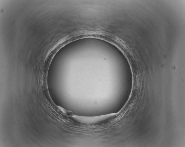 X0000081611165200702051347