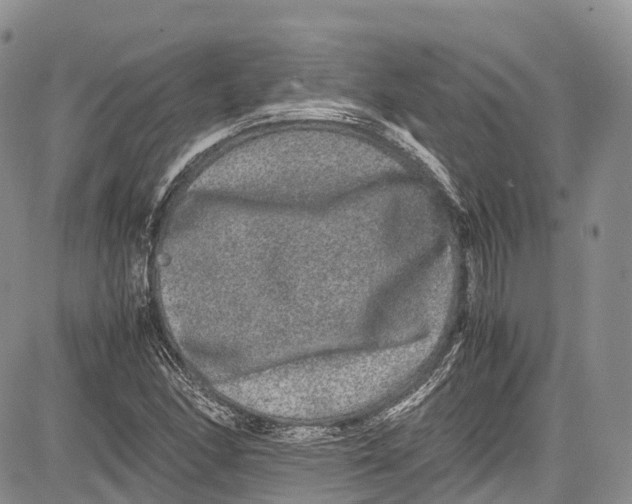 X0000081611166200702051347