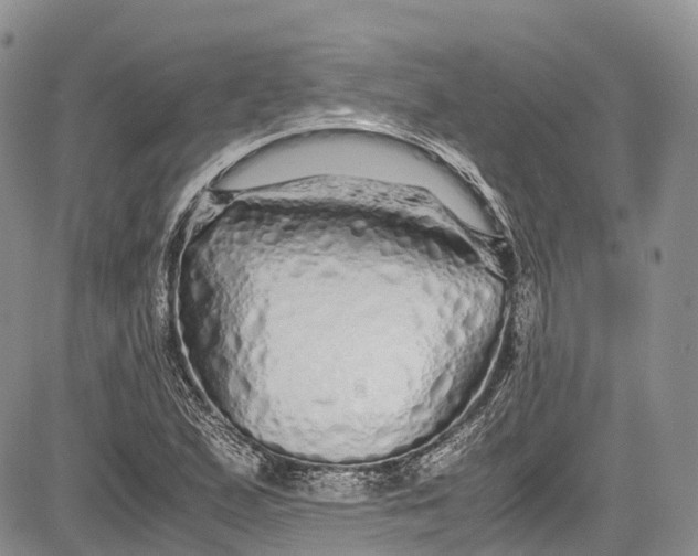 X0000081611167200702051347