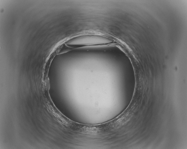 X0000081611168200702051347