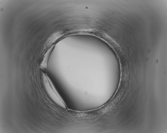 X0000081611169200702051347