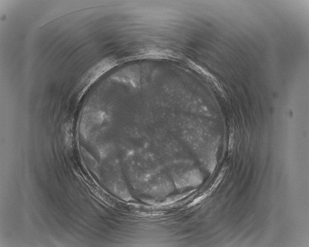 X0000081611170200702051347