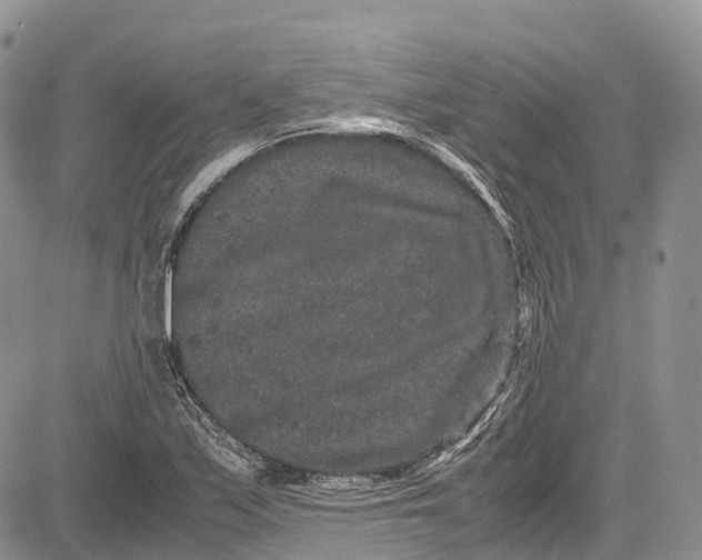 X0000081611171200702051347