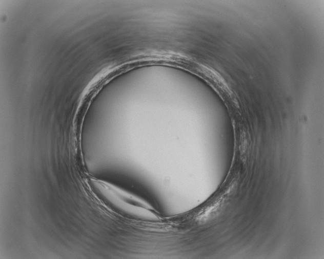 X0000081611172200702051347