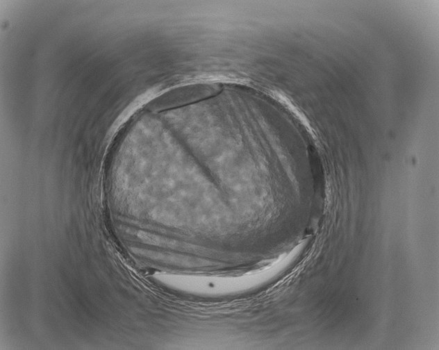 X0000081611173200702051347