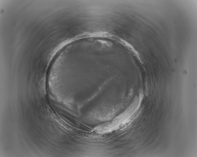 X0000081611174200702051347