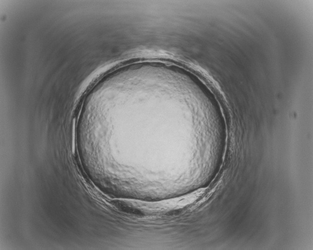 X0000081611175200702051347