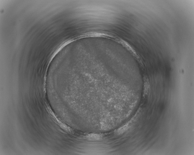 X0000081611178200702051347