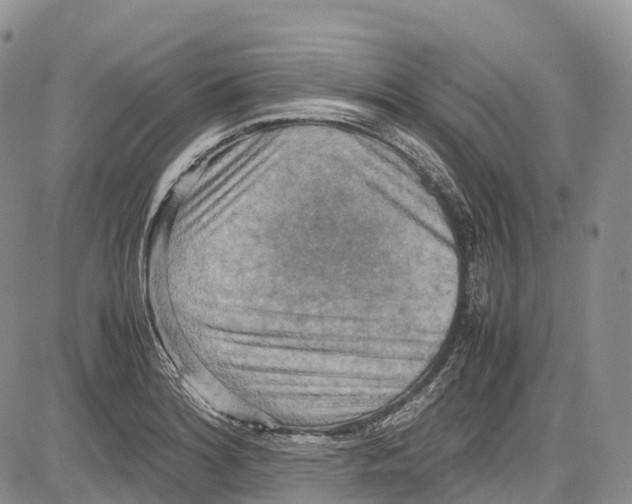 X0000081611180200702051347