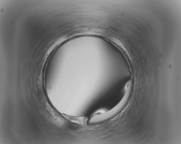 X0000081611181200702051347