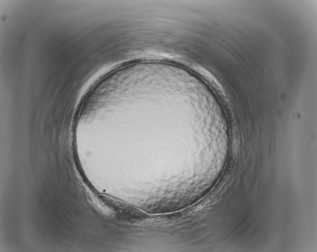 X0000081611183200702051347