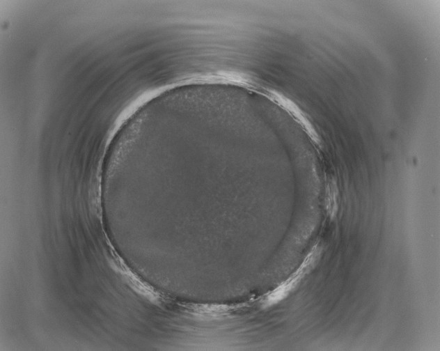 X0000081611184200702051347