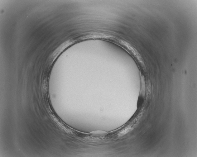 X0000081611185200702051347