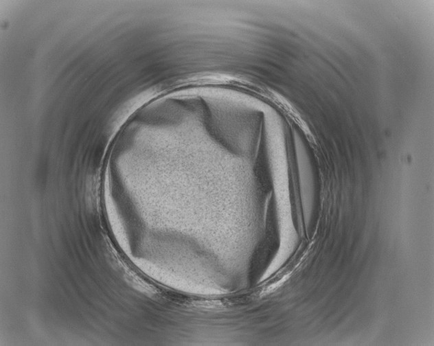 X0000081611186200702051346