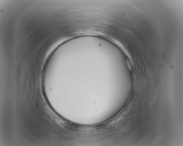 X0000081611187200702051346