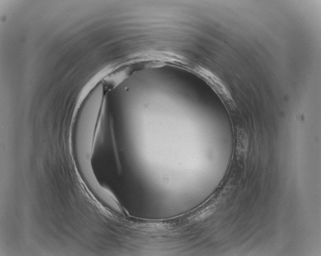 X0000081611188200702051346