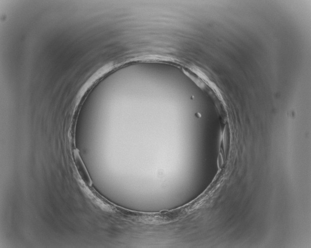 X0000081611189200702051346