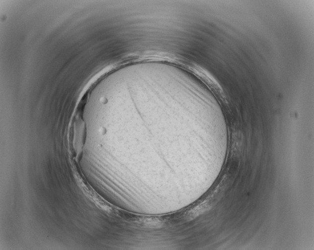 X0000081611190200702051346