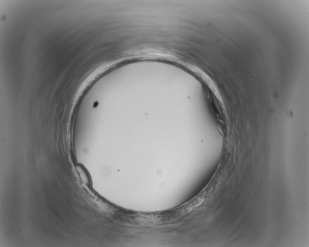 X0000081611191200702051346