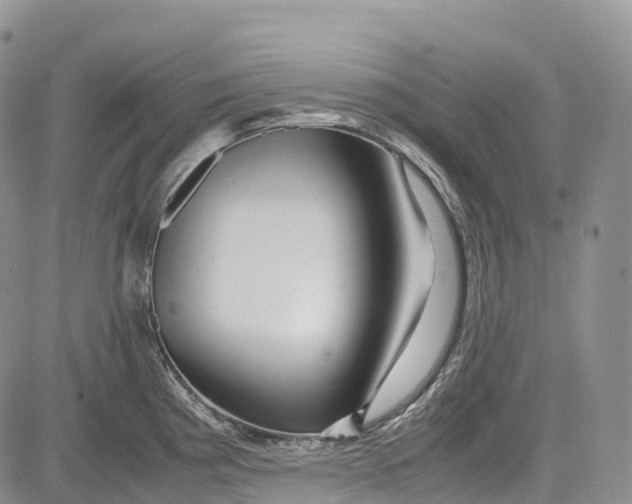 X0000081611193200702051346