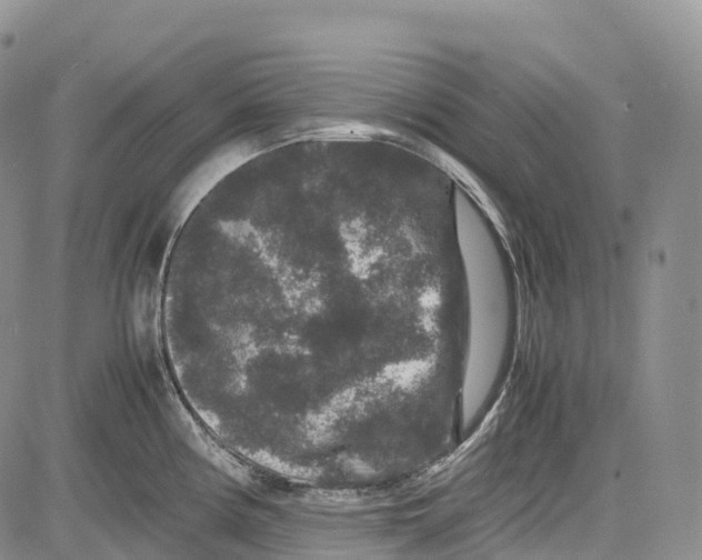 X0000081611194200702051346