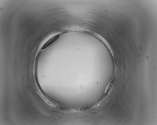 X0000081611195200702051346