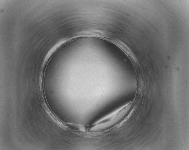 X0000081611196200702051346