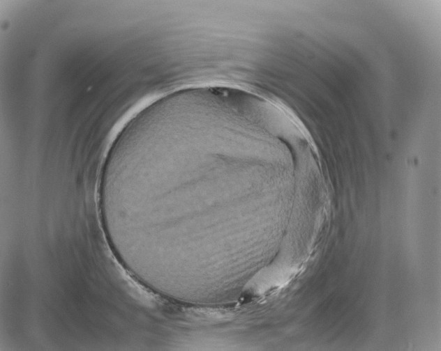 X0000081611197200702051346