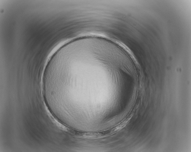 X0000081611199200702051346