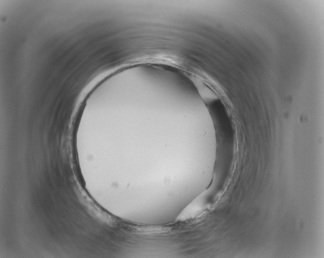 X0000081611200200702051346