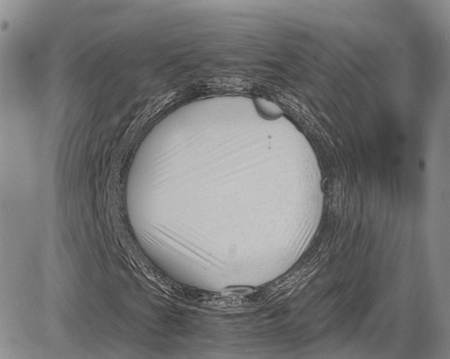 X0000081611201200702051345