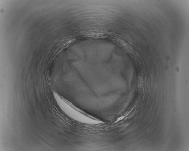 X0000081611202200702051345