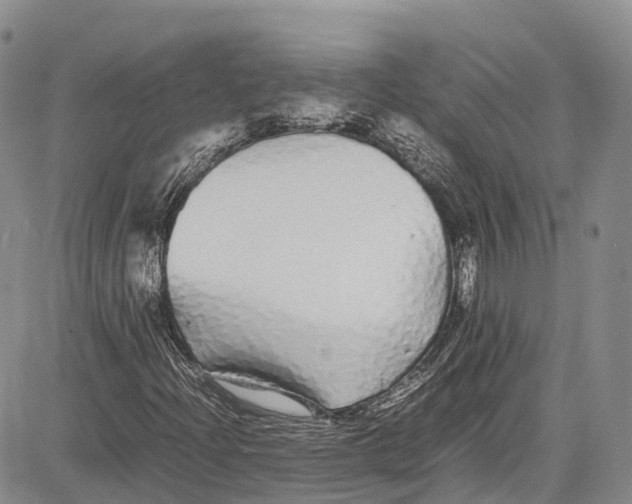 X0000081611204200702051346