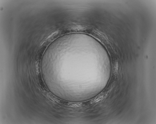 X0000081611205200702051346