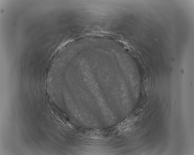 X0000081611206200702051346