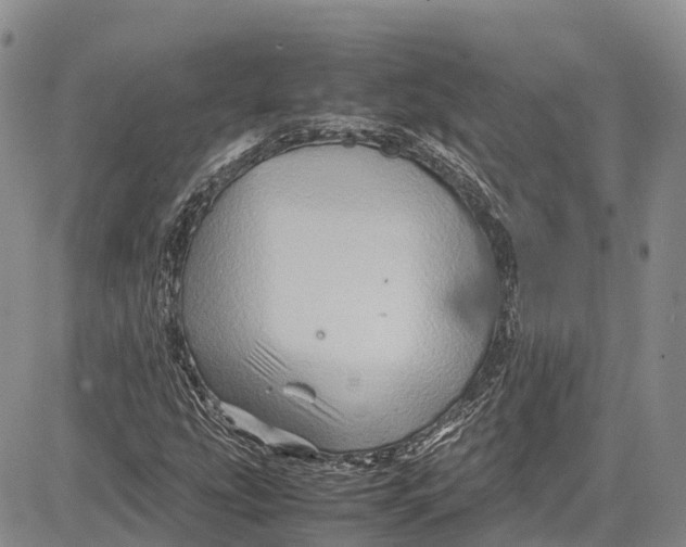 X0000081611207200702051346