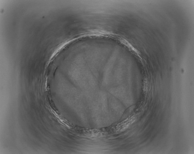 X0000081611208200702051346