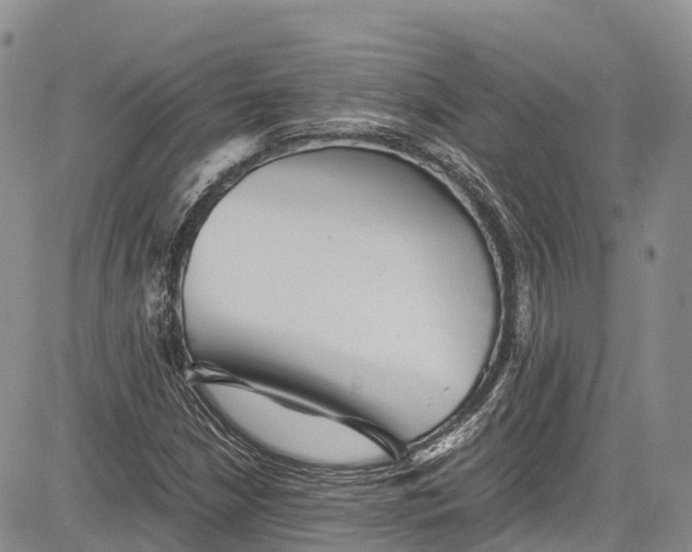 X0000081611210200702051346