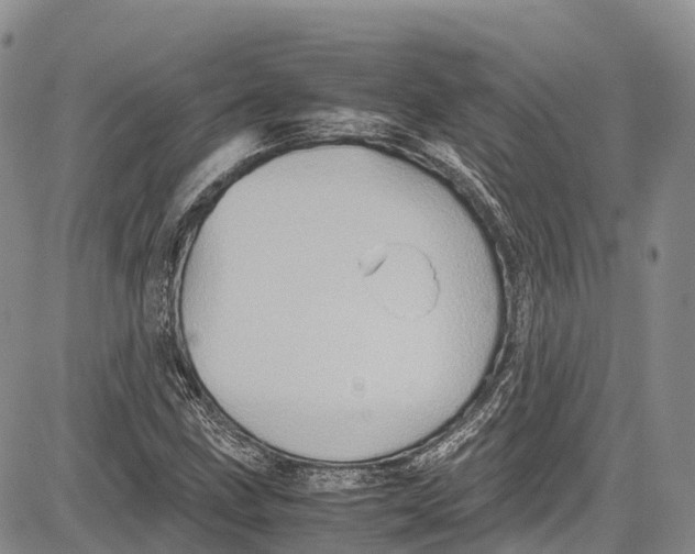 X0000081611211200702051346