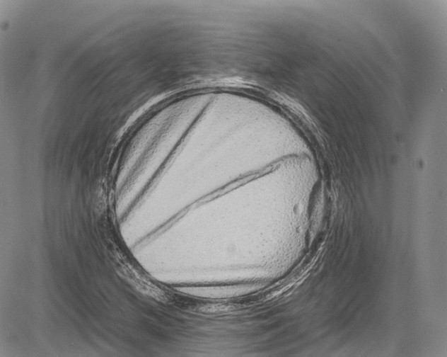 X0000081611212200702051346