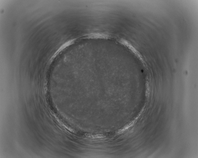 X0000081611213200702051346