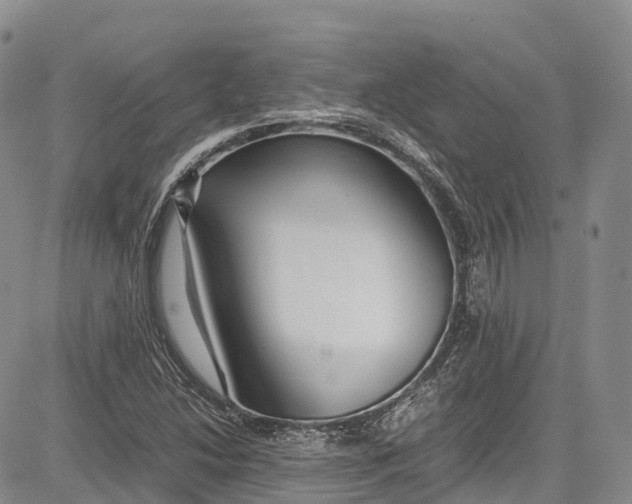 X0000081611214200702051346