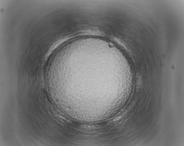 X0000081611215200702051346