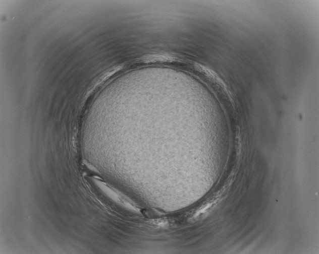 X0000081611217200702051346