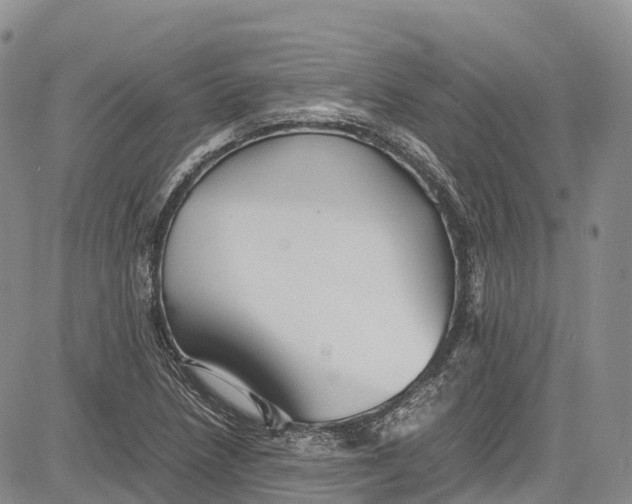 X0000081611218200702051346